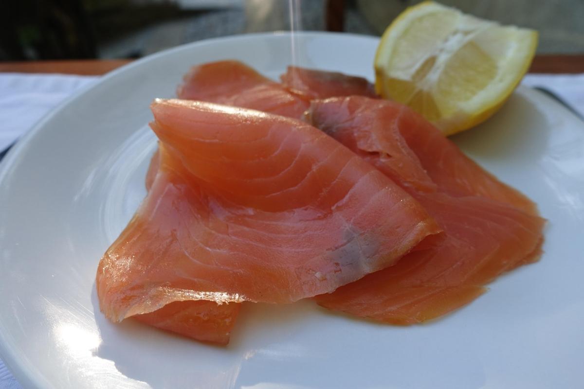 salmone