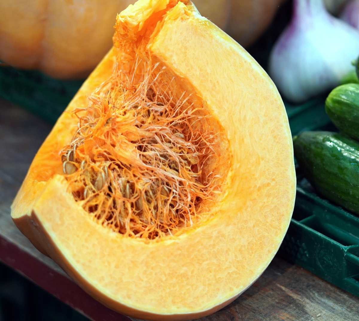 zucca