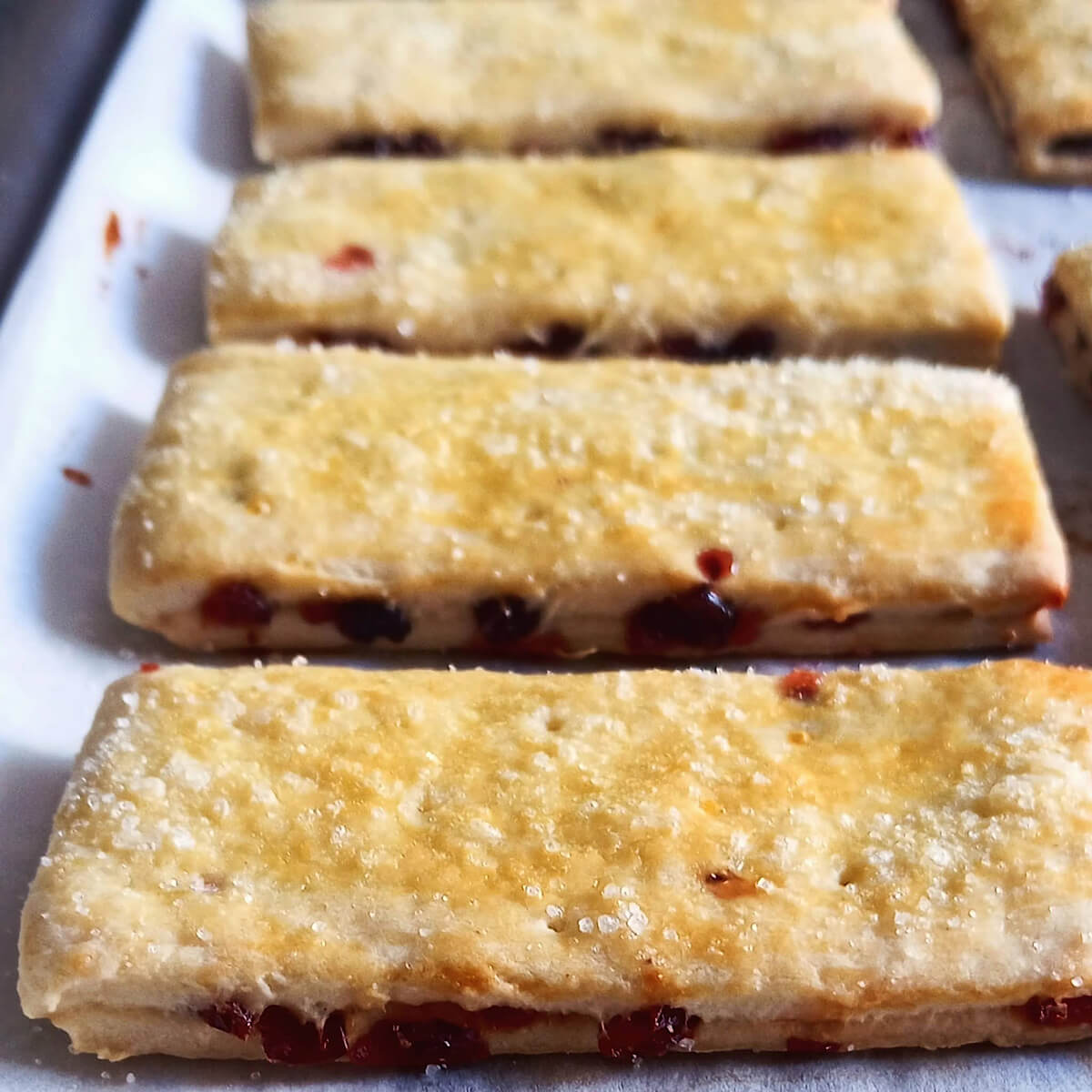 Biscotti Garibaldi
